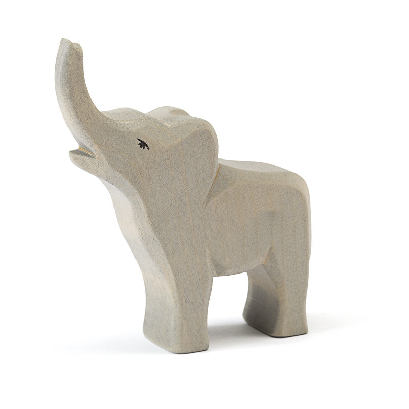 Ostheimer | Small Elephant Trumpeting