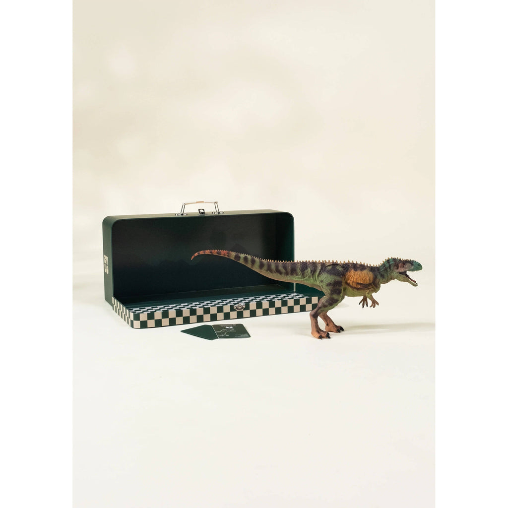 Dinosaur toy figure next to its packaging on a white background