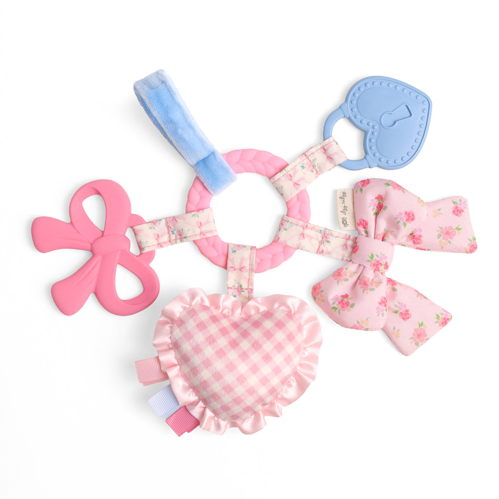 Pink and blue 'Bitzy Busy Ring' toy set with packaging on a white background