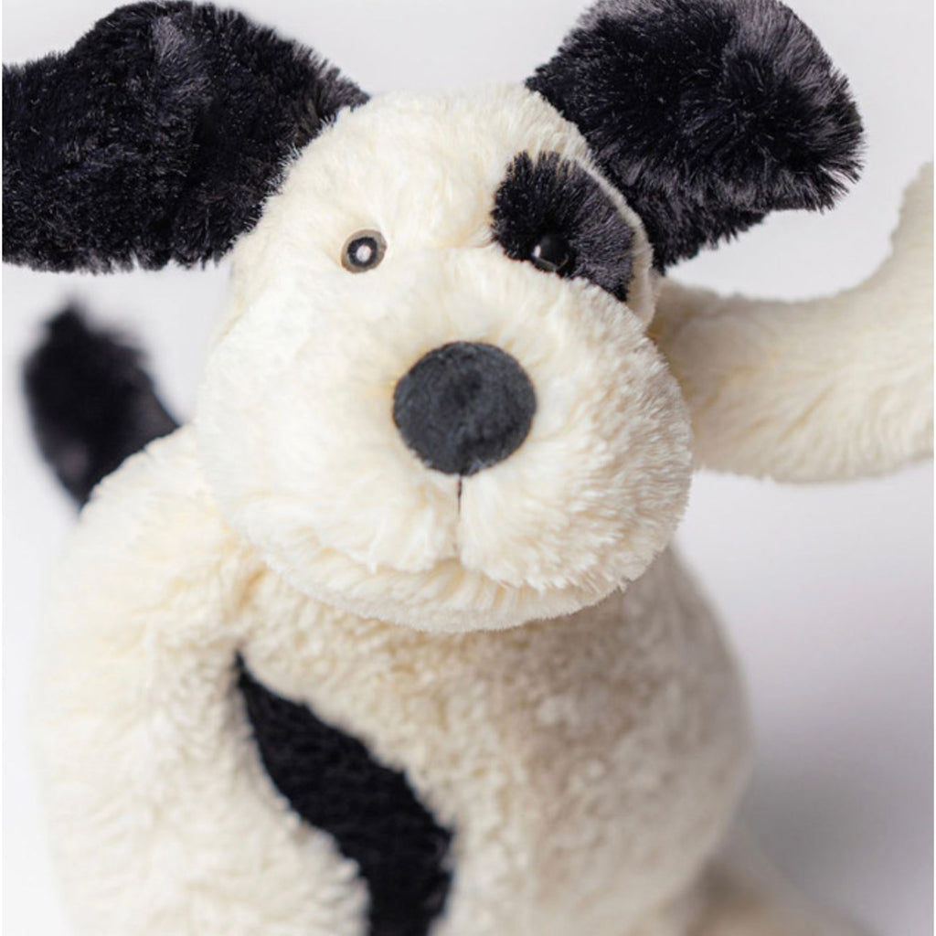 White and black puppy 