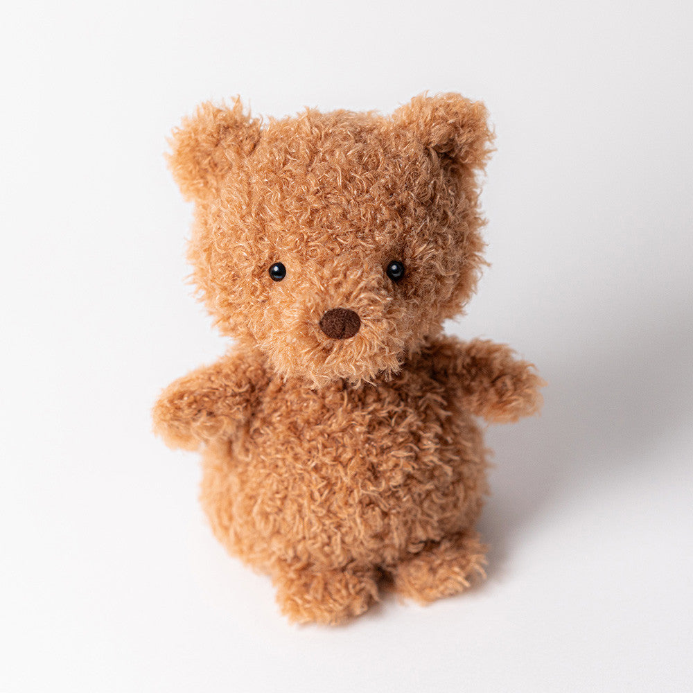 Brown teddy bear on a white background