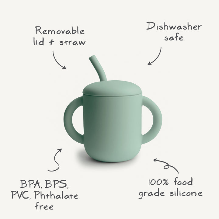 Beige sippy cup with dinosaur illustrations 