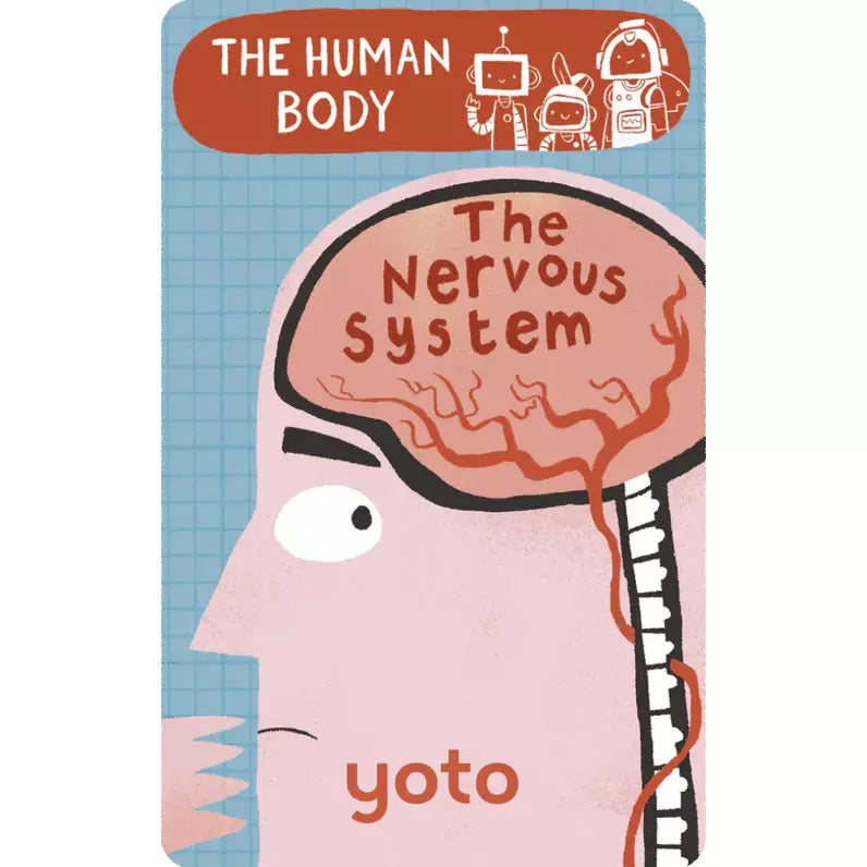 BrainBots: The Human Body